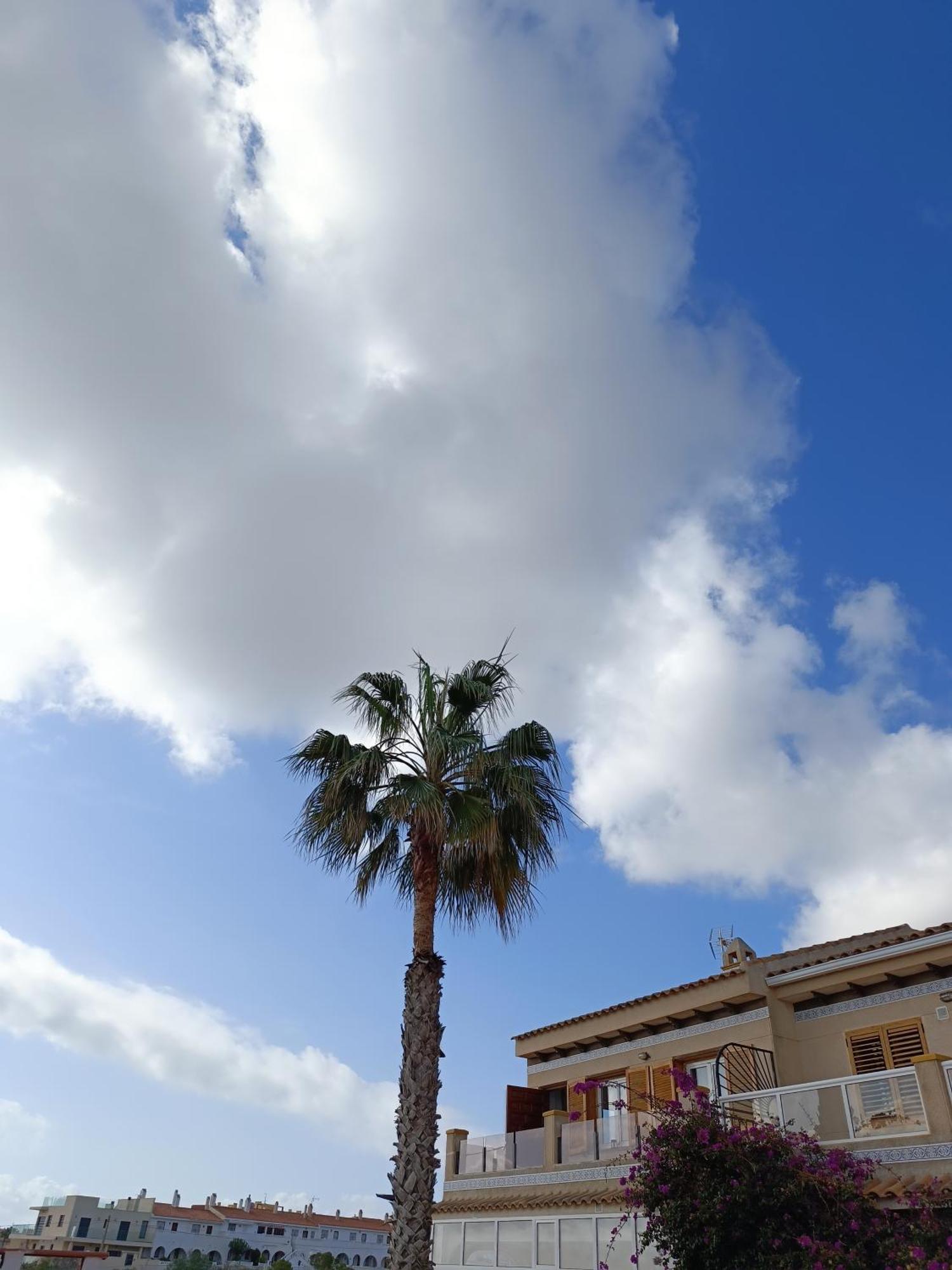 Rising Sun Bungalow Torrevieja Dış mekan fotoğraf