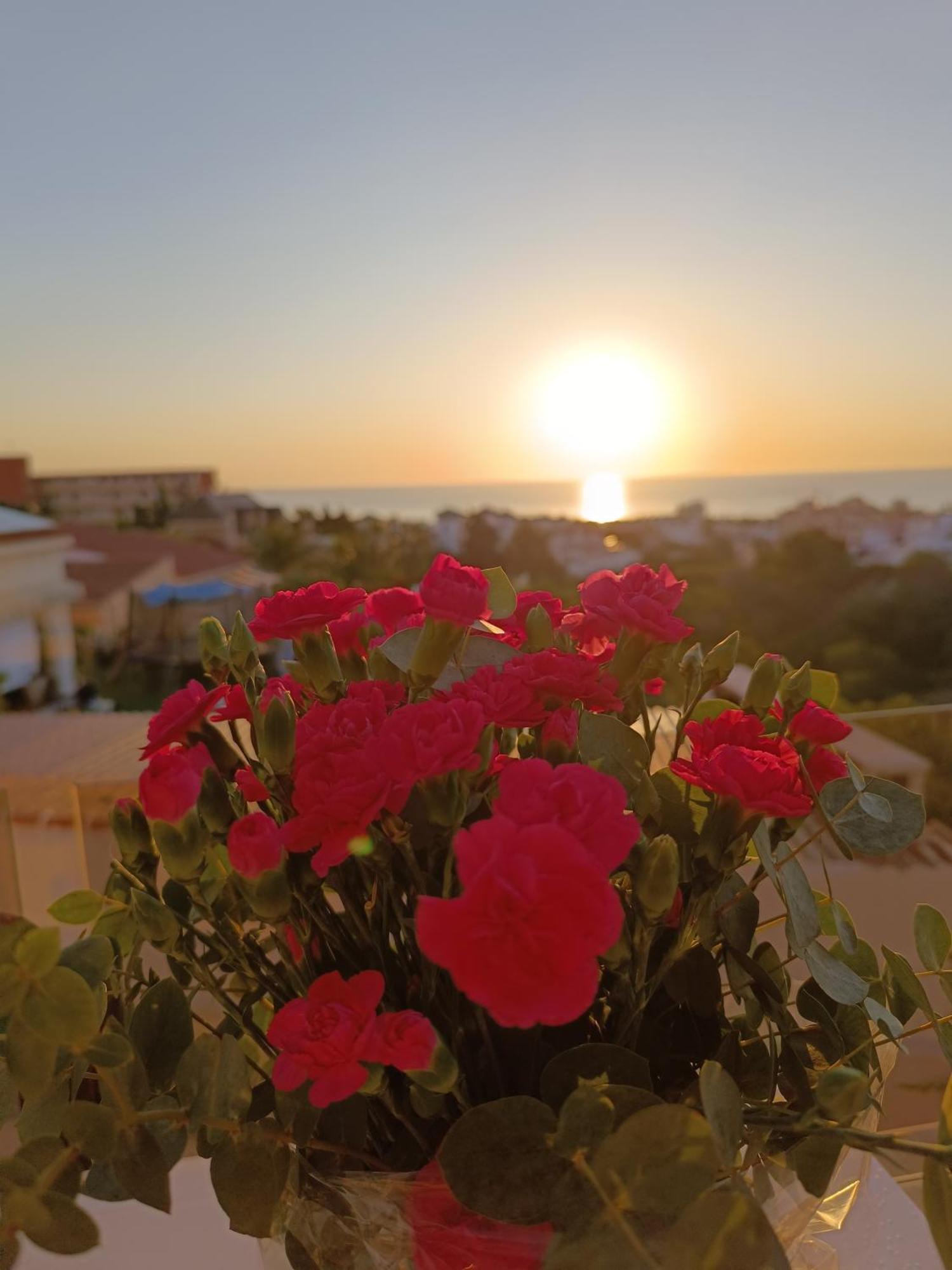 Rising Sun Bungalow Torrevieja Dış mekan fotoğraf